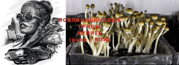 первитин Балахна