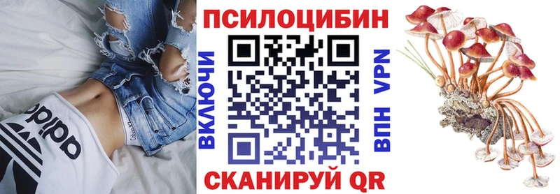 купить закладку  Свободный  Галлюциногенные грибы мицелий 